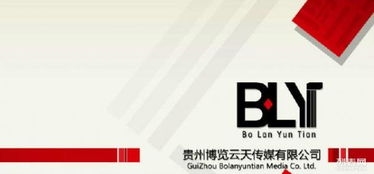 从网站建设到整合营销 打造数字化时代的品牌增长引擎
